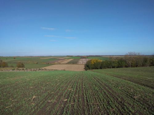 IMG 20201106 121911